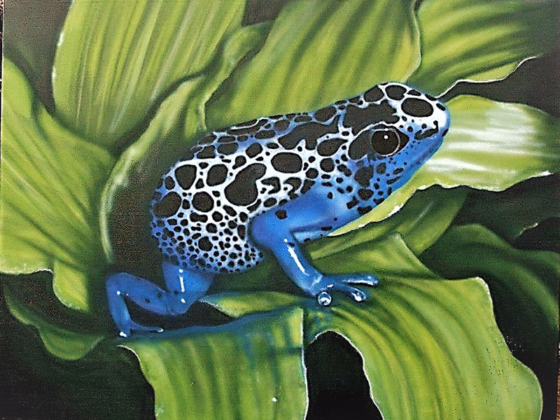 Frosch